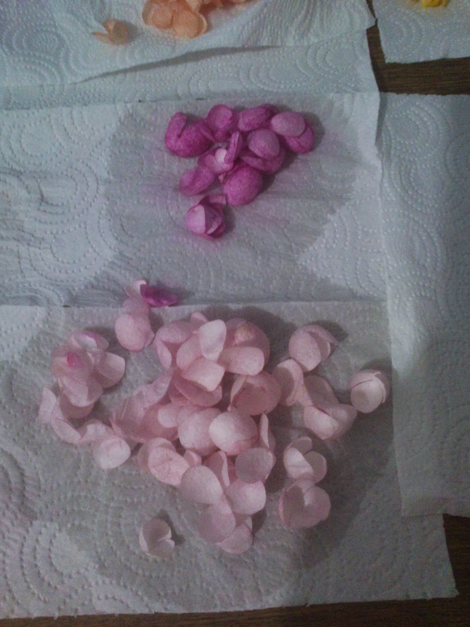 ipek kozası çalışması 2