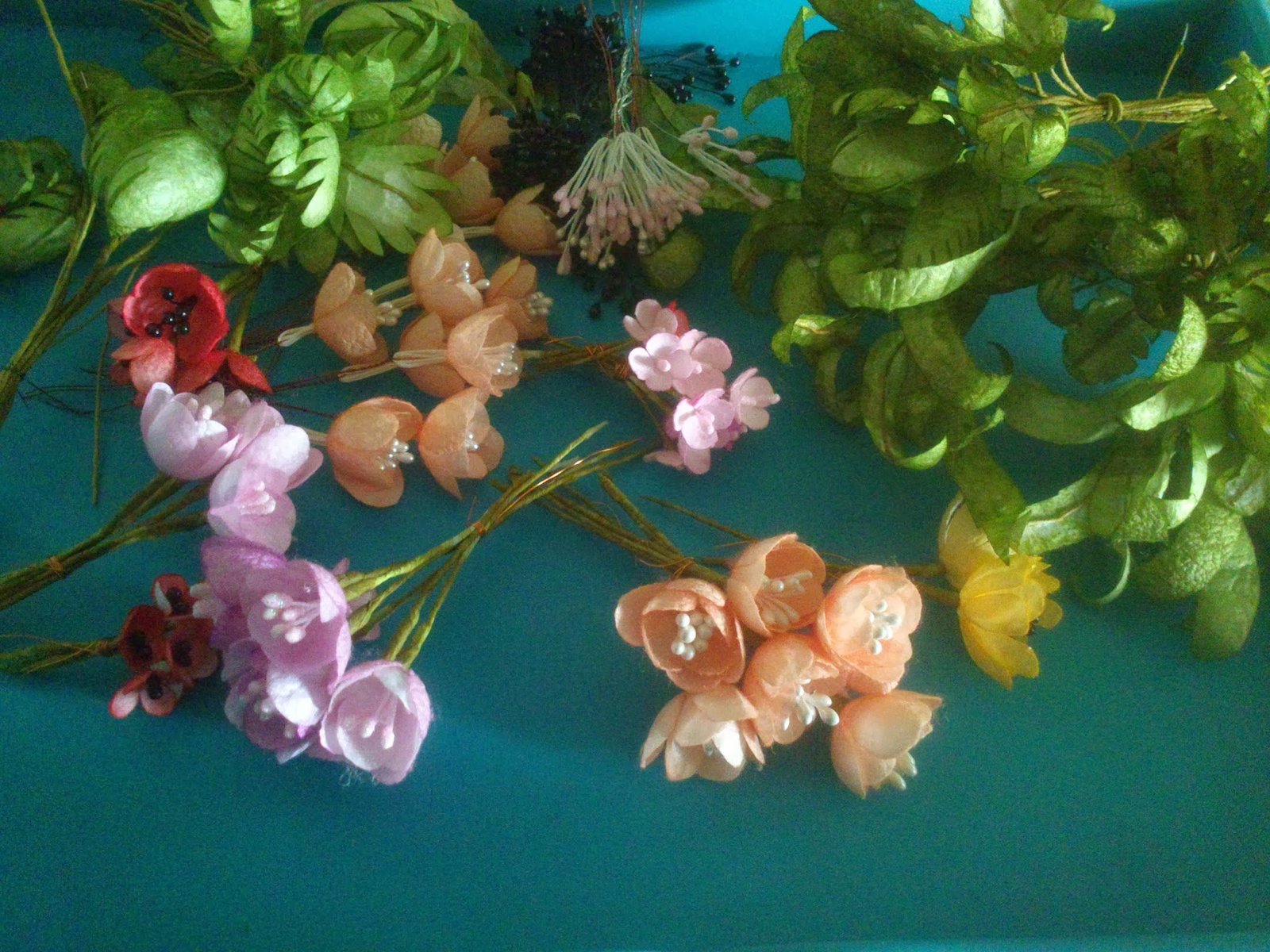 ipek kozası çalışması 3