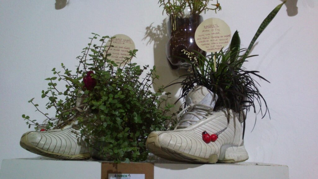 Çiçek Yetiştirme Sanatı