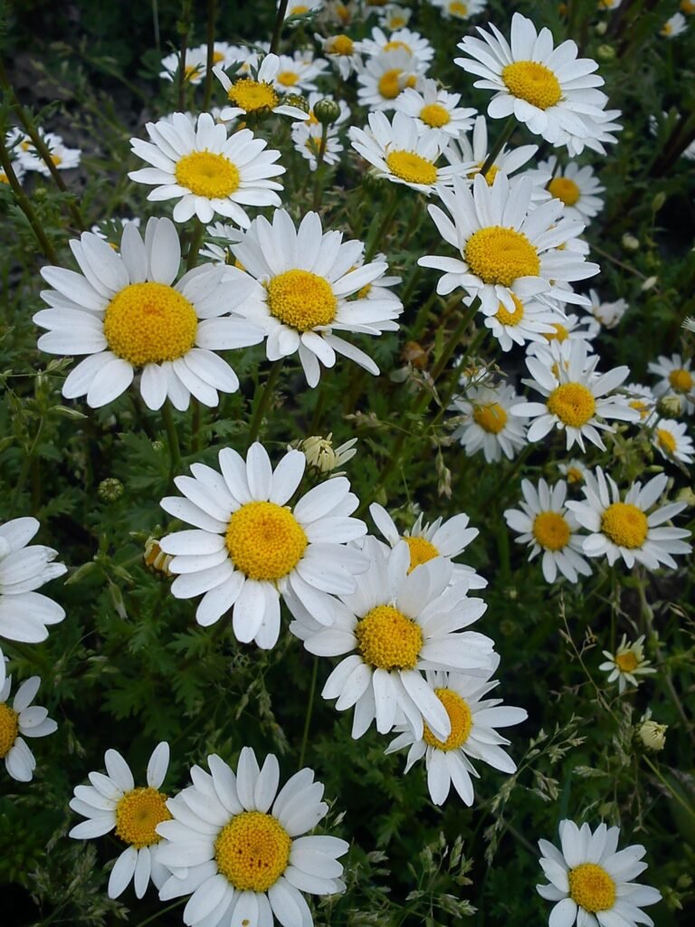 Selamlar ben geldim :))