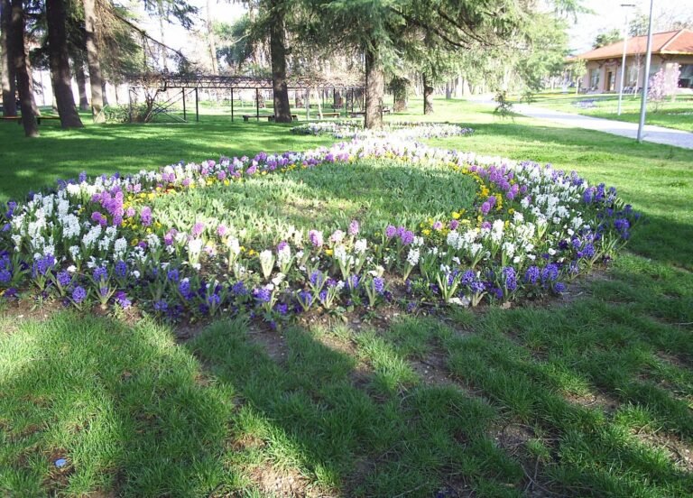 Bursa Blogger Buluşması