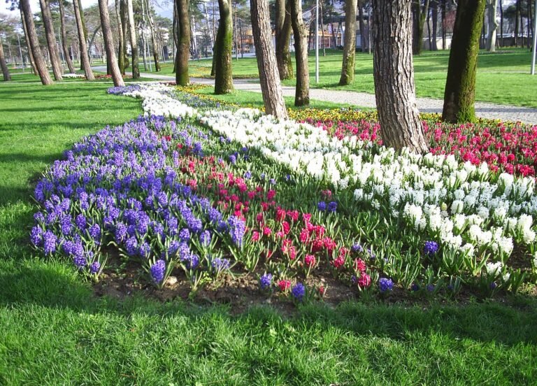 Merinos parkında  bir kış günü :)